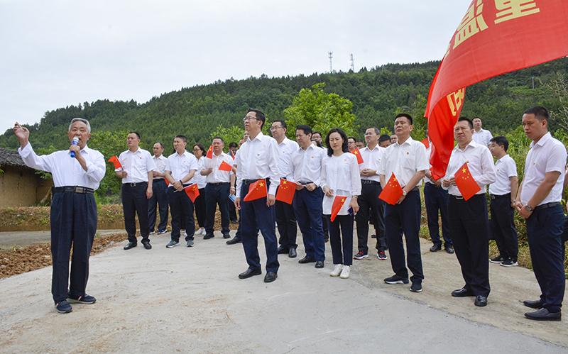 元坝区人民政府办公室最新项目概览