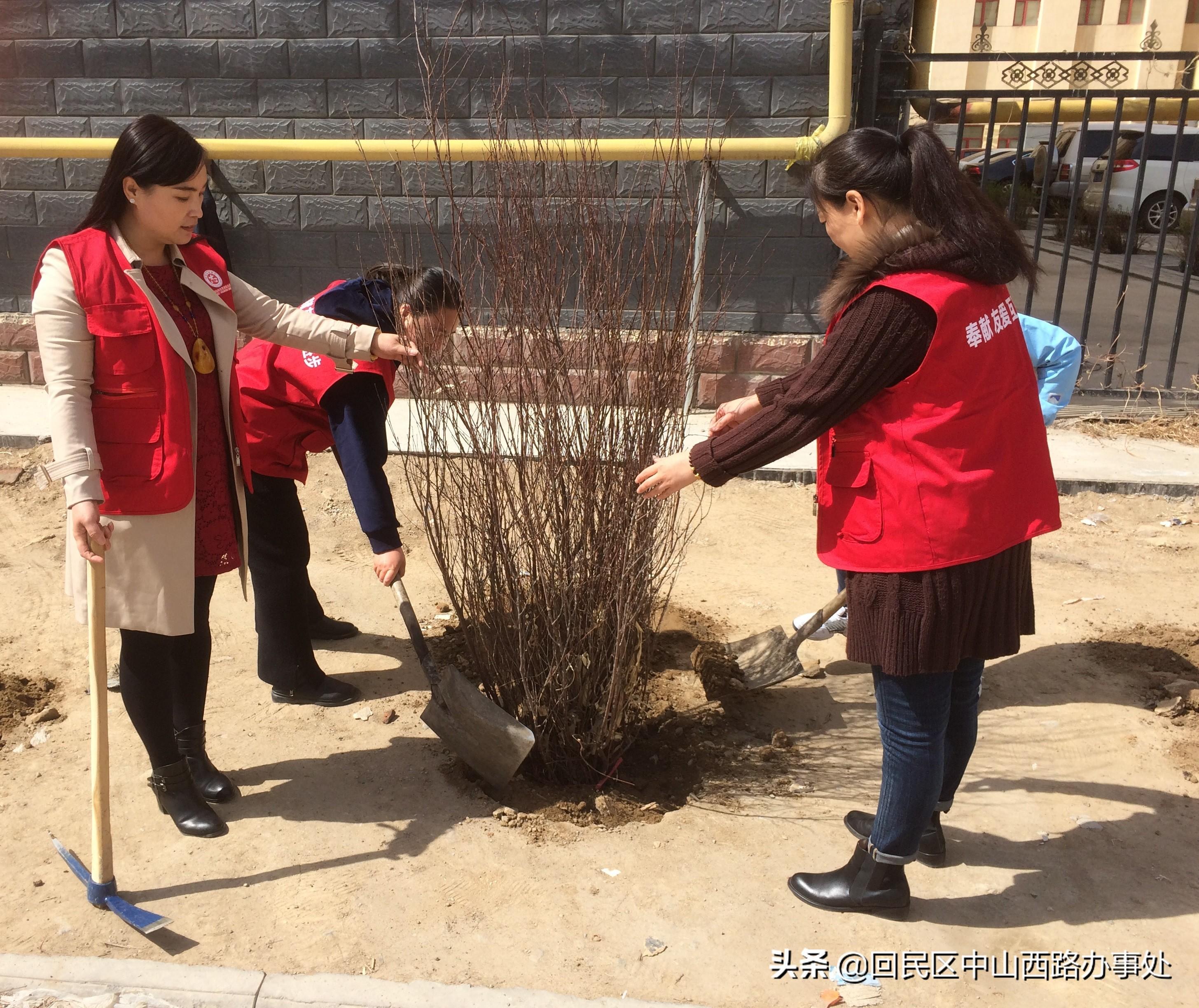 中山市财政局最新资讯发布