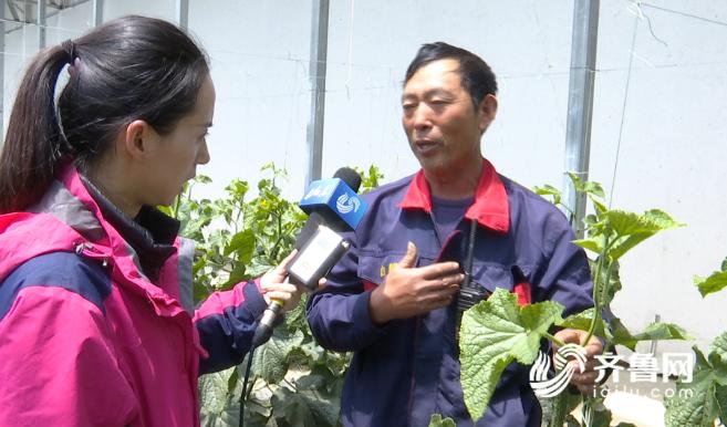 白朗县最新动态，推动地方经济发展，提升民生福祉