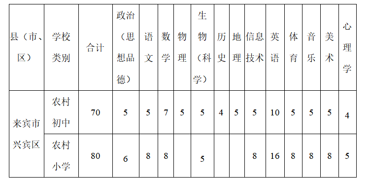 来宾市兴宾区小学最新招聘概览