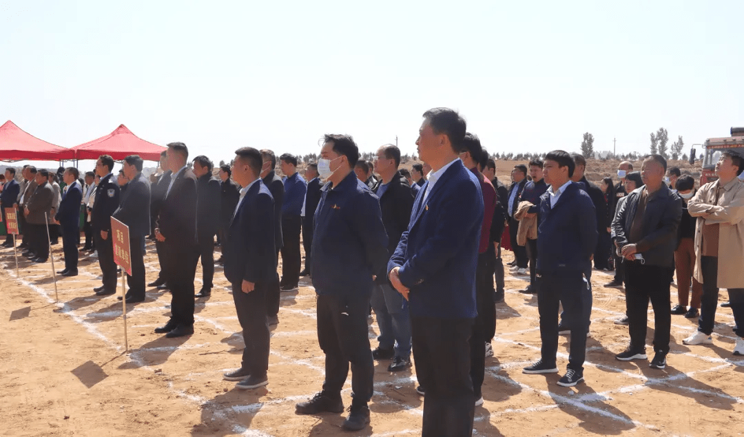 大鸭村委会最新项目，乡村发展典范引领之路