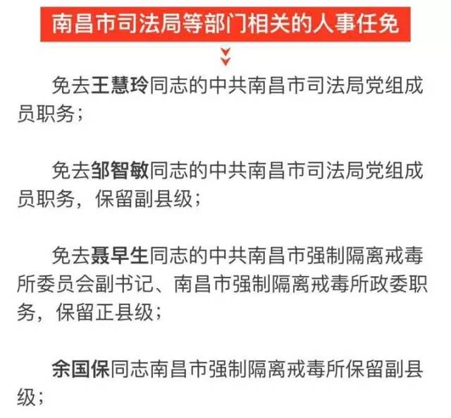 千山区科技局人事任命动态解析及影响展望