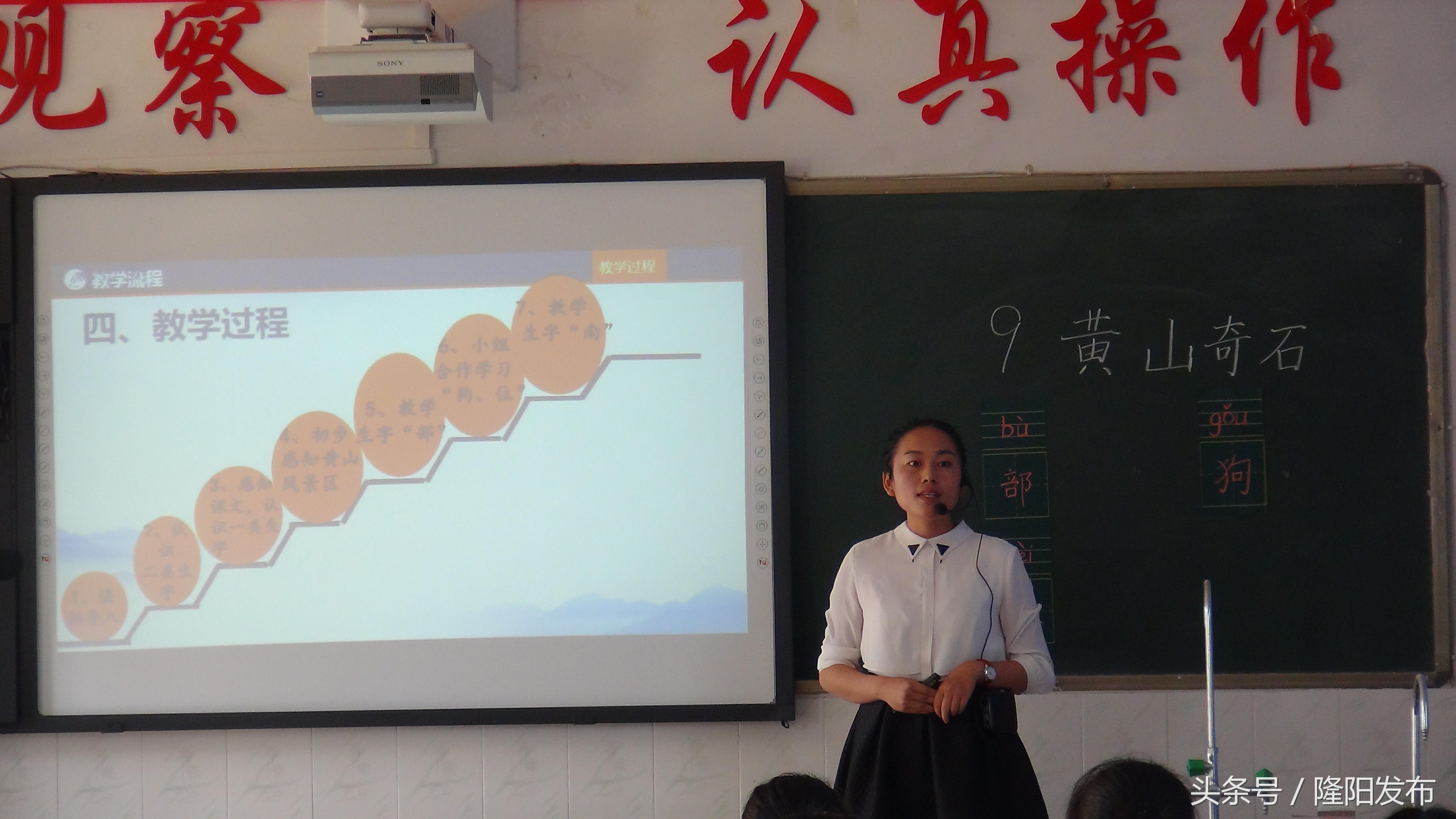 东山区小学发展规划概览