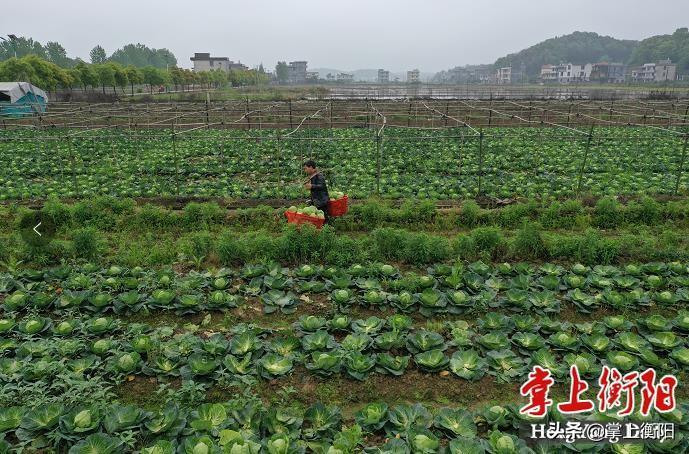 常宁市公路运输管理事业单位招聘启事速递