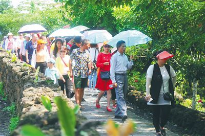 新时代下的茶村风华，茶文化深度探索与发展报道