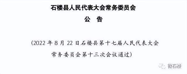 石拐区教育局人事任命重塑教育格局，开启未来教育新篇章