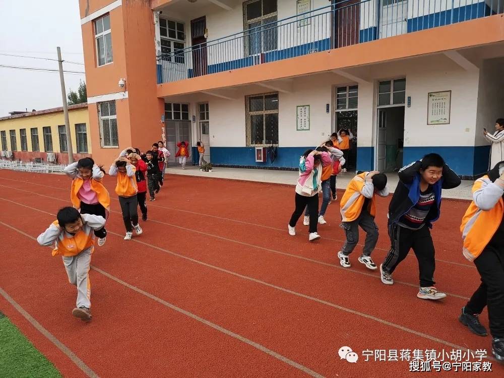 宁阳县小学创新项目，引领教育变革，塑造未来之光