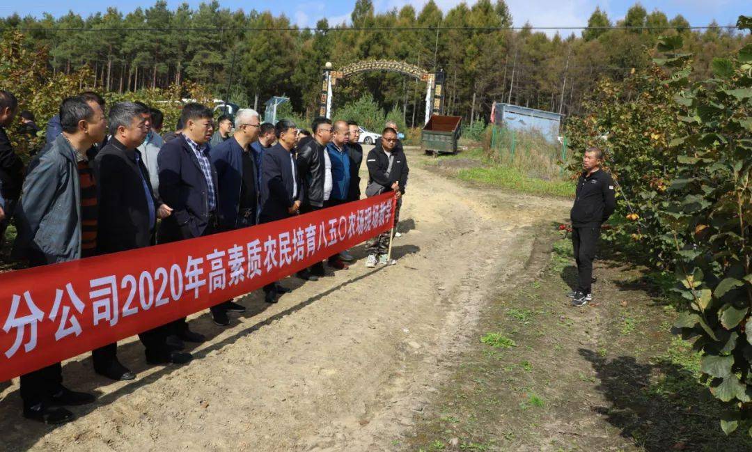 白竹湖农场最新动态报道